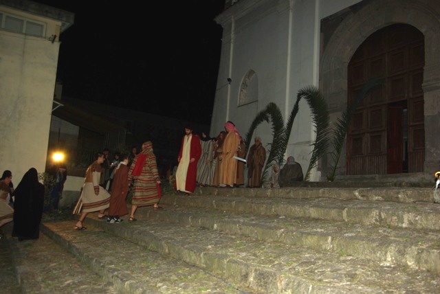 IMGP4448