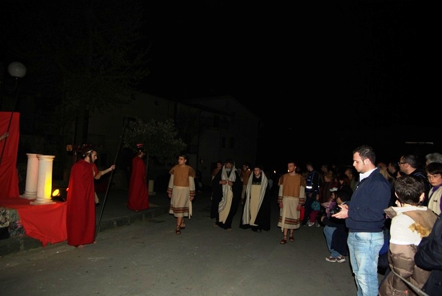 IMGP4487